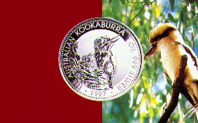 kookaburra