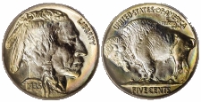 Buffalo Nickels